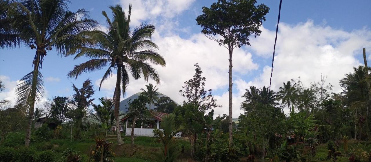 Talaga Tomohon Home Stay And Fishing Pond Екстер'єр фото