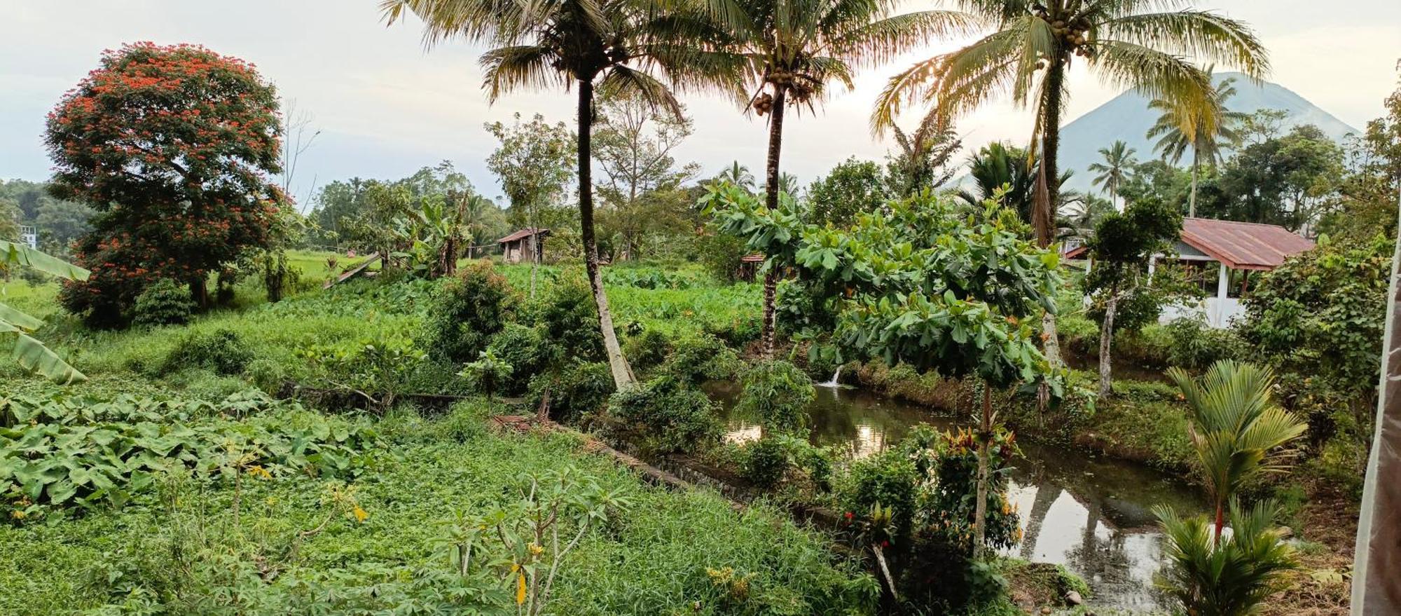 Talaga Tomohon Home Stay And Fishing Pond Екстер'єр фото