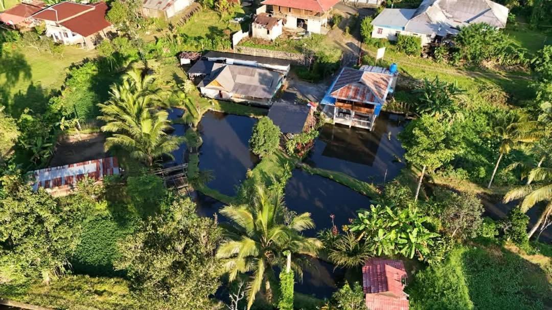 Talaga Tomohon Home Stay And Fishing Pond Екстер'єр фото